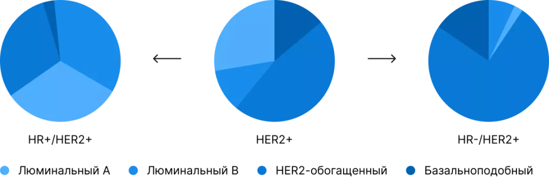 Часть 2. Что скрывается под иммуногистохимией при раке молочной железы и что с ней не так рис.1