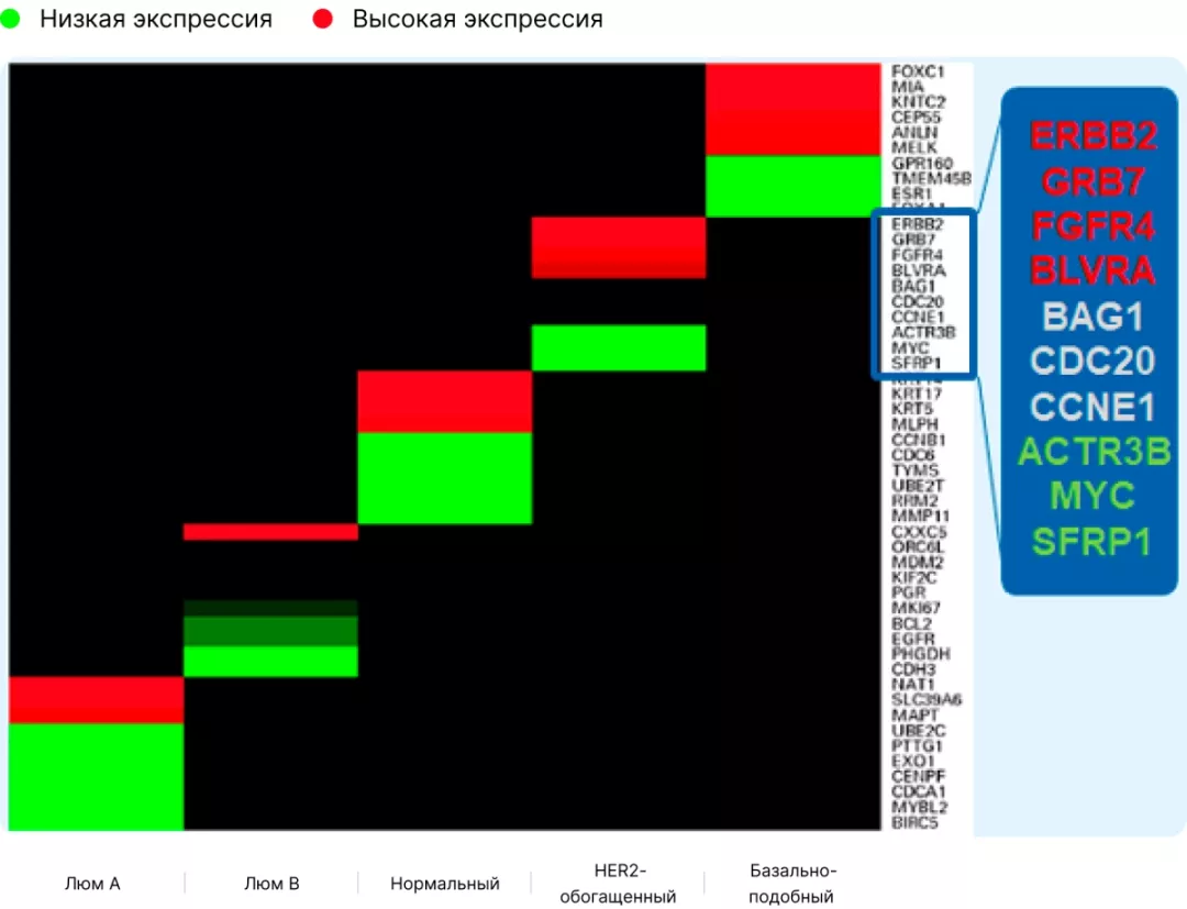 Часть 2. Что скрывается под иммуногистохимией при раке молочной железы и что с ней не так рис.2.