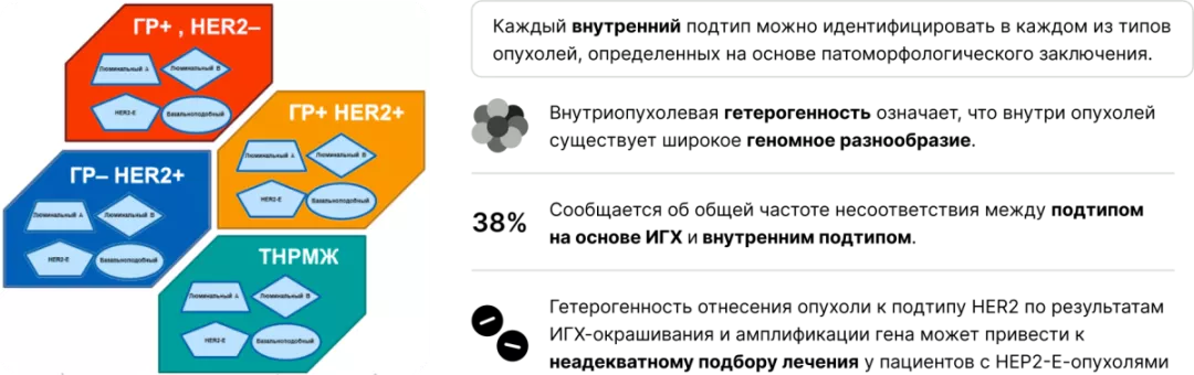 Часть 2. Что скрывается под иммуногистохимией при раке молочной железы и что с ней не так рис.5