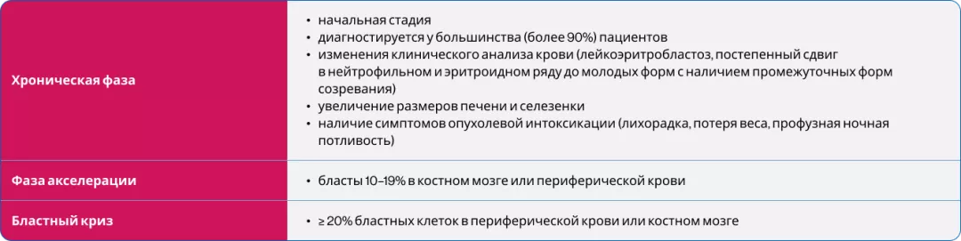 Фазы первичного миелофиброза4