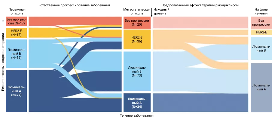  Схематичное отражение эффекта рибоциклиба на изменение биологии опухоли. Рибоциклиб, вероятно, индуцирует переход к менее агрессивному люминальному подтипу1,5.