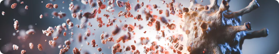 Влияние внутреннего подтипа на эффективность терапии ингибиторами CDK4/6 при распространенном HR+/HER2- РМЖ