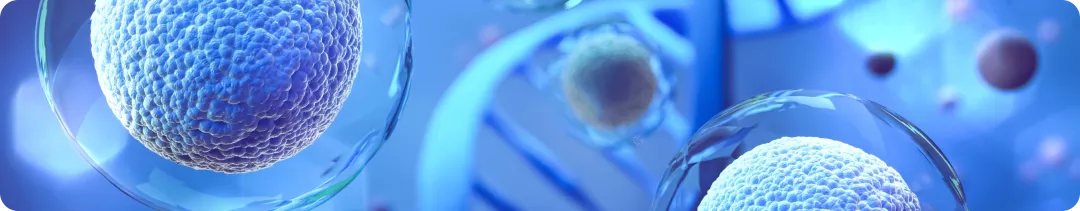 Часть 2. Что скрывается под иммуногистохимией при раке молочной железы и что с ней не так?