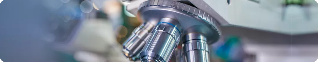 Исследование REVEAL