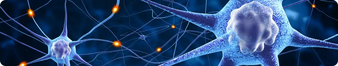 Адъювантная таргетная и иммунотерапия: эффективность и влияние на органоспецифическое метастазирование меланомы III стадии