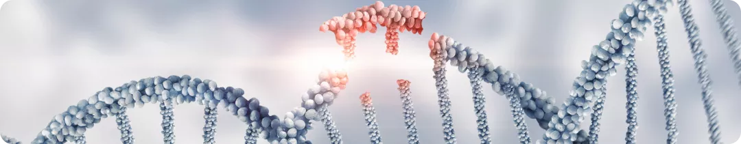 Патогенез и клиническая картина миелофиброза