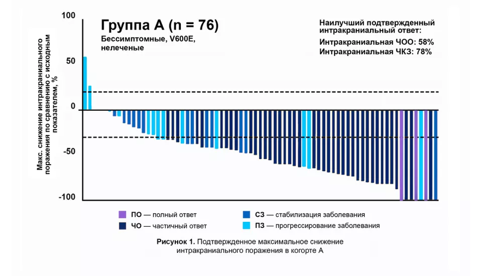 В данном исследовании приняли участие 125 пациентов с метастазами в ЦНС. Это одно из наиболее крупных исследований на данной популяции больных.