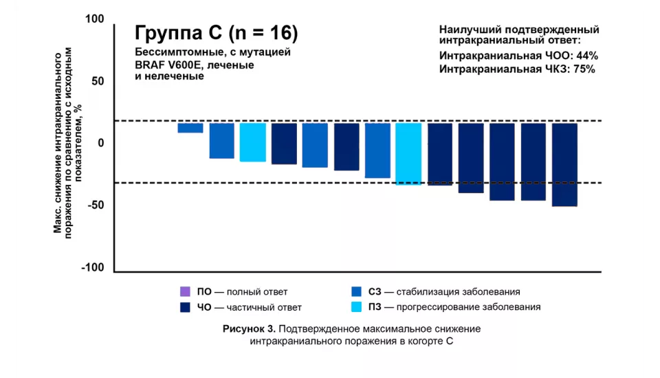 В данном исследовании приняли участие 125 пациентов с метастазами в ЦНС. Это одно из наиболее крупных исследований на данной популяции больных.