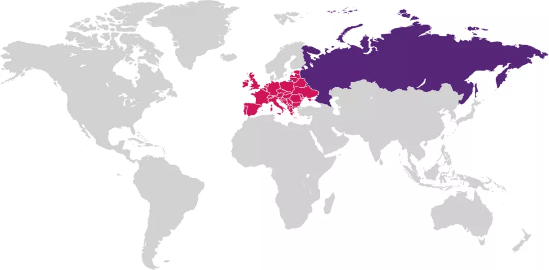 Первичный миелофиброз