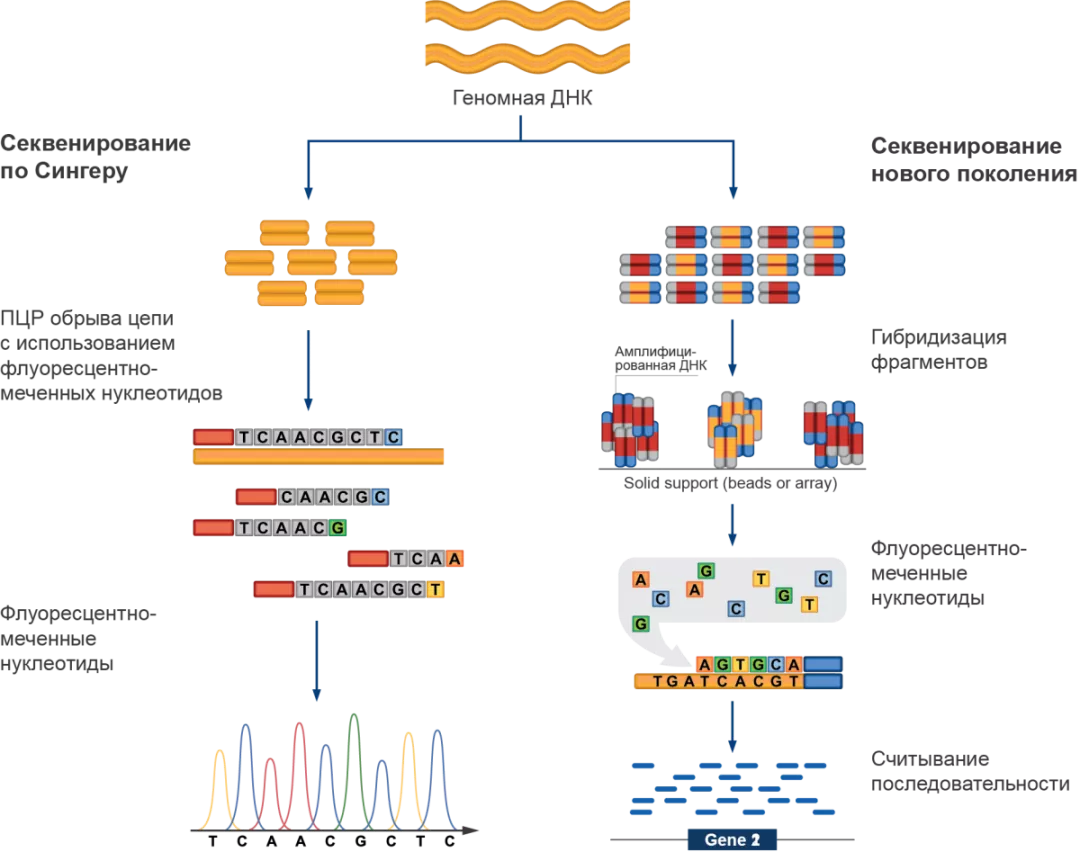 Метод секвенирования нового поколения