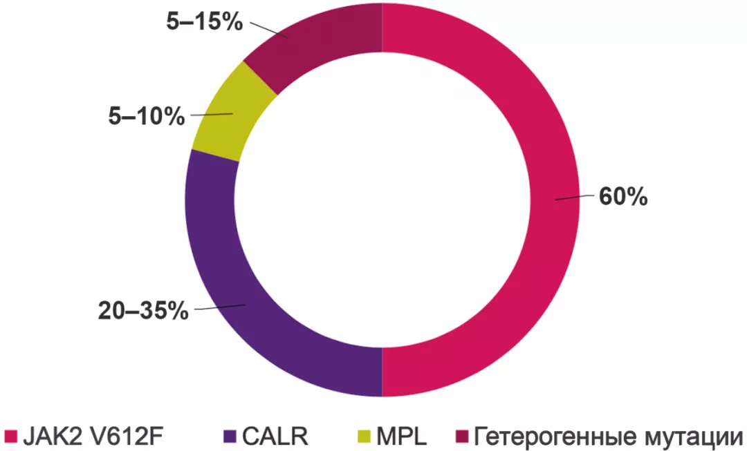 Частота различных мутаций при ПМФ
