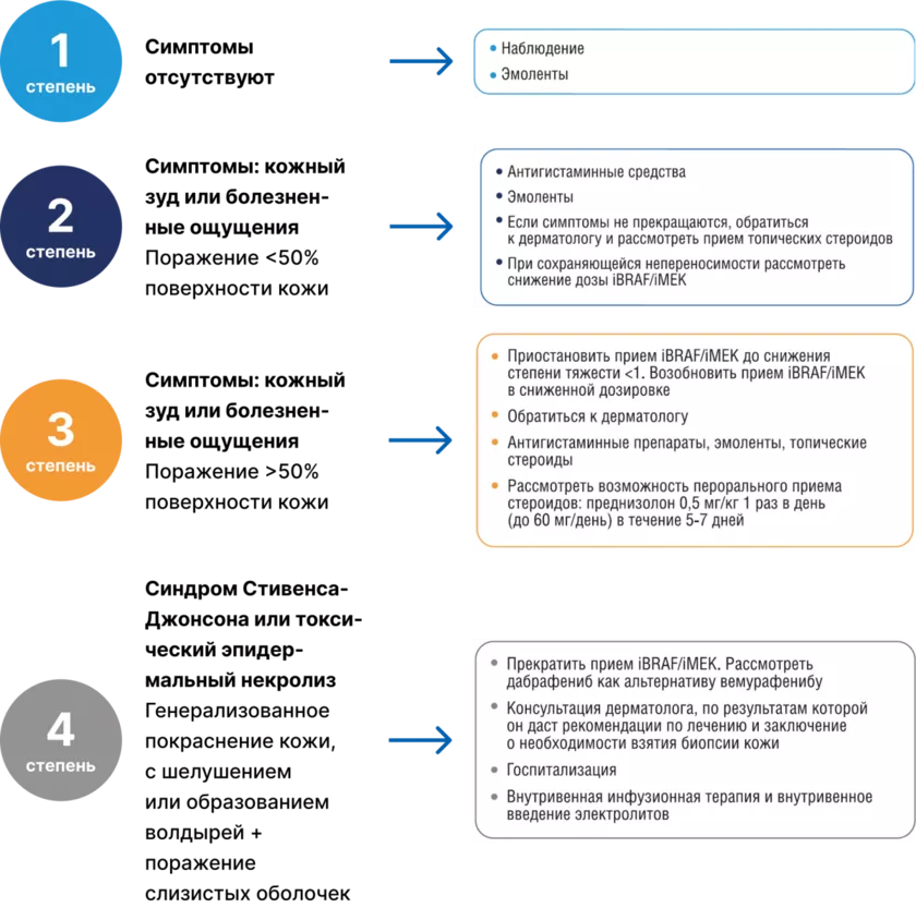 Алгоритм действий при макулярных/папулезных или перифолликулярных высыпаниях
