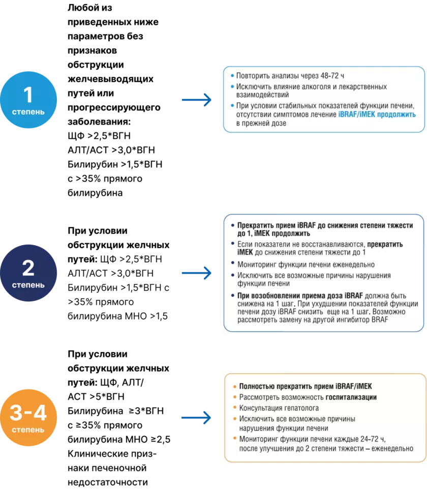 Алгоритм действий при развитии гепатотоксичности [17]