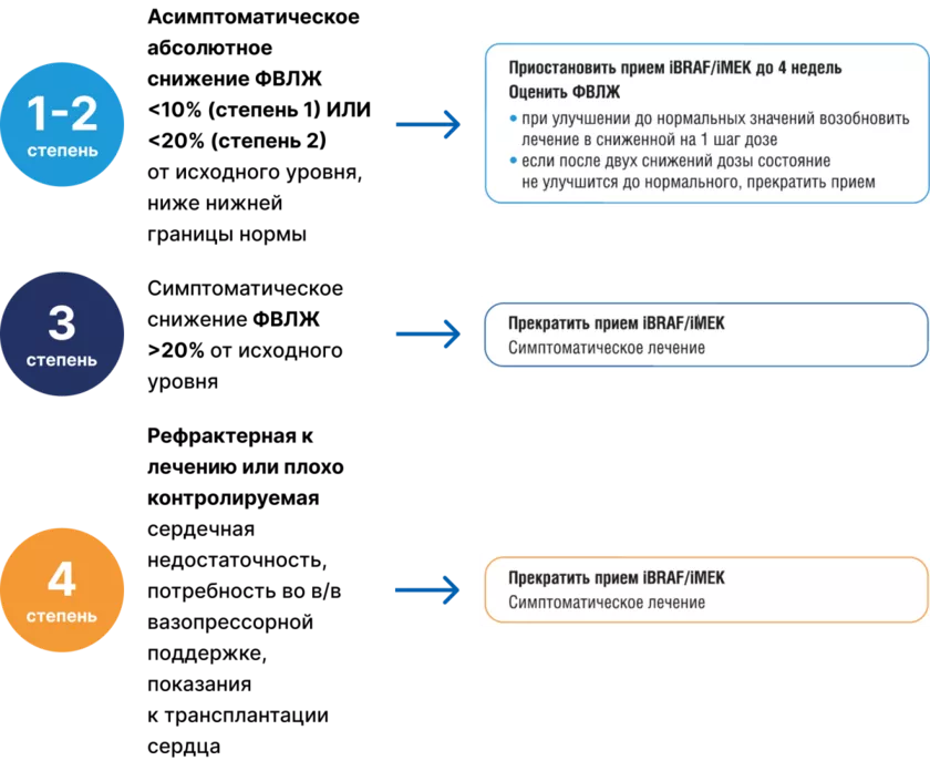 Алгоритм действий при снижении ФВЛЖ [17]