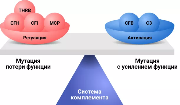Влияние мутаций на работу системы комплемента