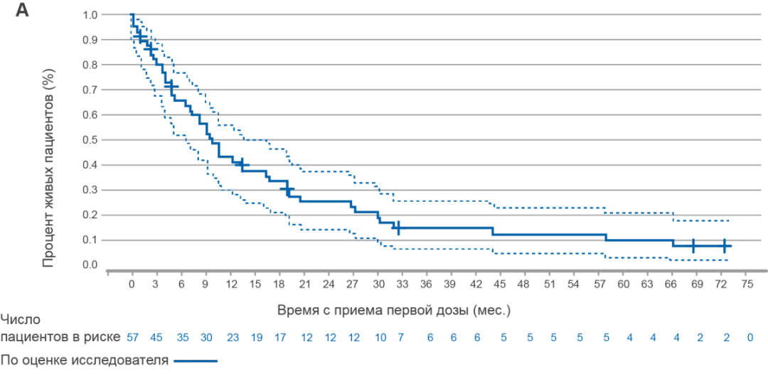 Выживаемость в когорте В (рис. А) и С (рис. В) через 5 лет терапии
