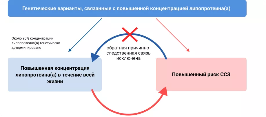 Генетические варианты, связанные с повышенной концентрацией липопротеина(а)