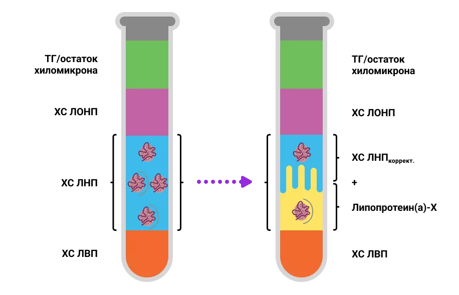 Значения уровня ХС ЛНП