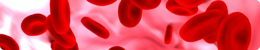 Идиопатическая тромбоцитопеническая пурпура баннер