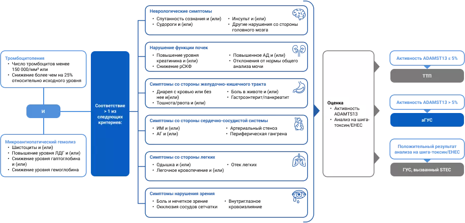 Краткий алгоритм диагностики аГУС исключение других причин ТМА