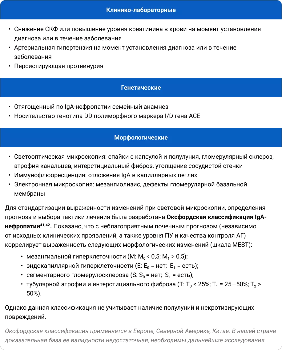 Критерии неблагоприятного прогноза согласно клиническим рекомендациям по диагностике и лечению IgA-нефропатии