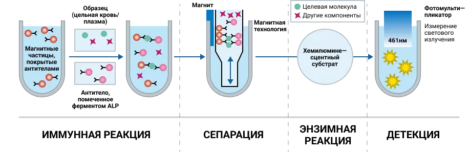 Методика иммунохемилюминесцентного тестирования