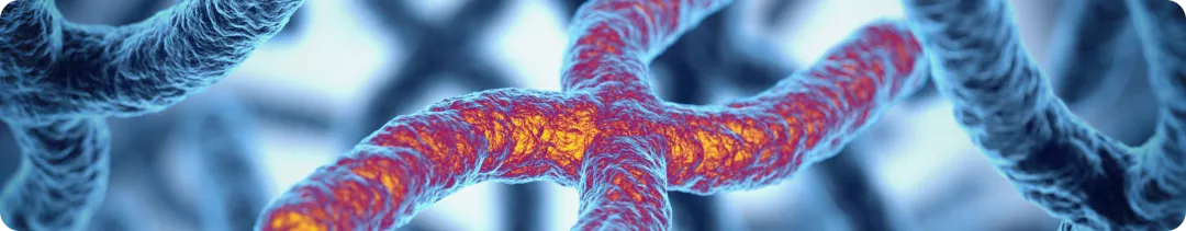 Наследственные дистрофии сетчатки, ассоциированные с биаллельными мутациями в гене RPE65