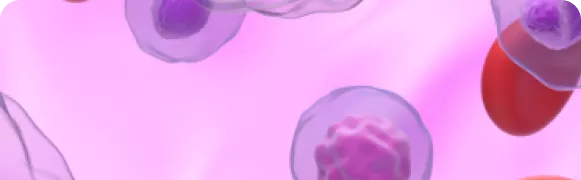 Обновление национальных клинических рекомендаций по диагностике и лечению Ph-негативных миелопролиферативных новообразований