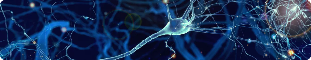 Опции системного лечения пациентов с бессимптомными метастазами меланомы кожи в головной мозг так ли все очевидно