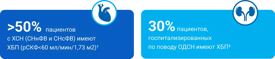 Пациент с сочетанной патологией ХСН и ХБП