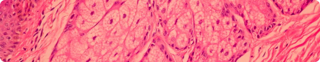 Подготовка образцов к молекулярно-генетическому исследованию