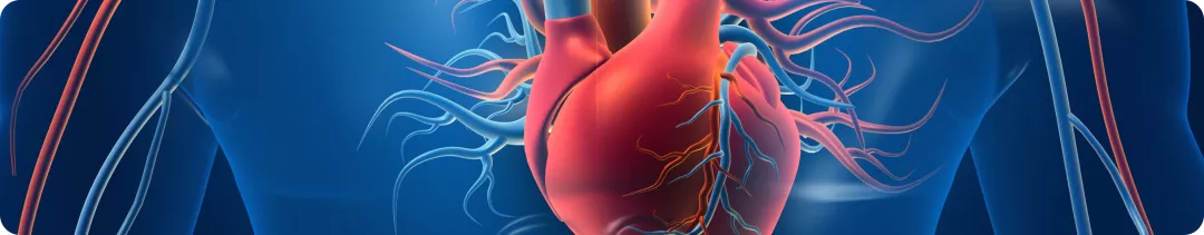 Полиморбидная Академия комплексный подход к комплексной проблеме