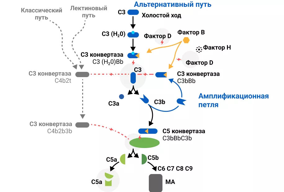 Приложение 1..png