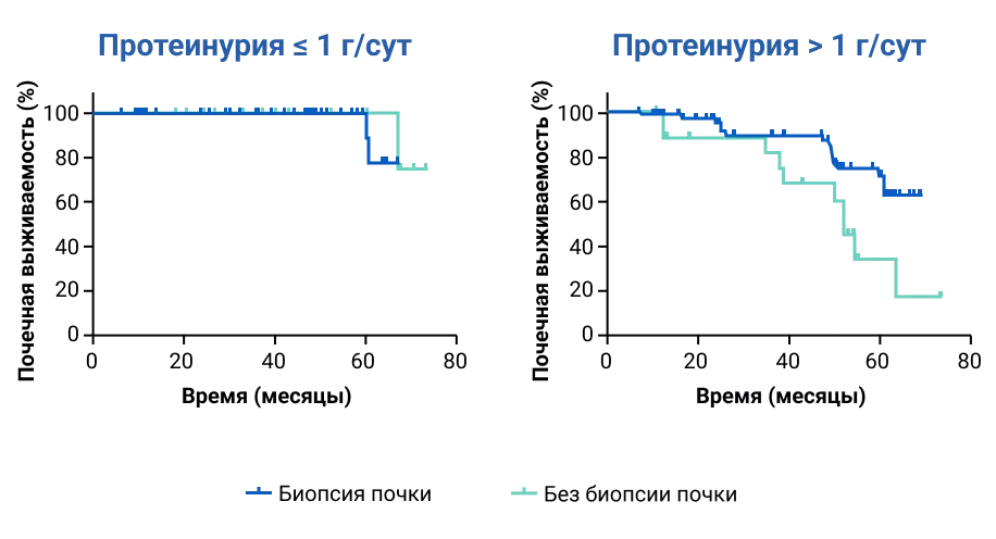 Приложение 5. Выраженная протеинурия (более 1 гсут) является основанием для проведения биопсии