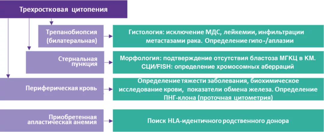 Рисунок 1. Алгоритм диагностики АА