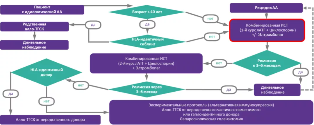 Рисунок 2. Алгоритм лечения АА