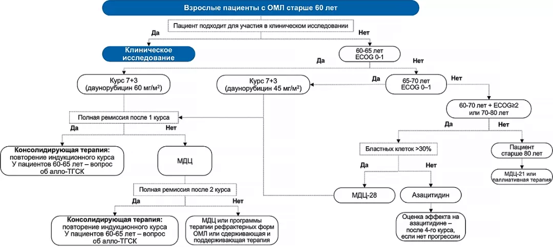 Рисунок 4. Схема лечения ОМЛ у пациентов старше 60 лет