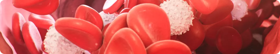 Семейная гиперхолестеринемия. Что делать, если высокий уровень ХС ЛНП обусловлен наследственностью