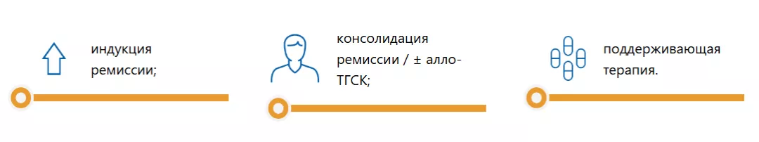 Терапия ОМЛ состоит из нескольких этапов