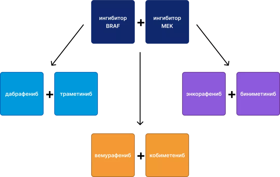 Три комбинации ингибиторов BRAF и MEK