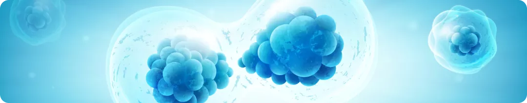 Хронический миелолейкоз