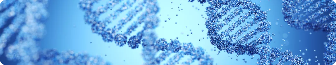 Четырёхлетние результаты исследования NATALEE адъювантная терапия рибоциклибом + НСИА у пациентов  с ранним HR+ HER2− РМЖ