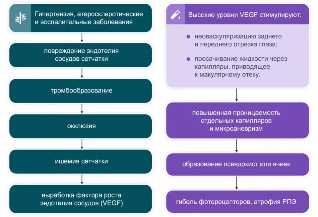 Рисунок 2. Патофизиологические процессы, приводящие к ОВС и сопровождающие ее