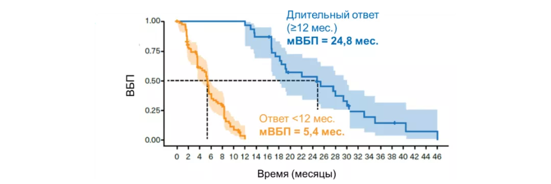 ВБП в подгруппах пациентов с ВБП ≥ 12 мес. и < 12 мес. (когорта А, исследование BYLieve) [9]