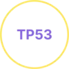 TP53