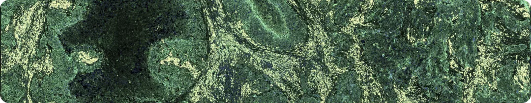 X Петербургский Международный Онкологический Форум «Белые ночи»