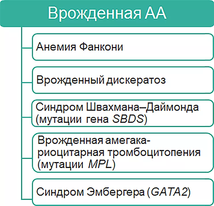 Классификация апластических анемий (АА)