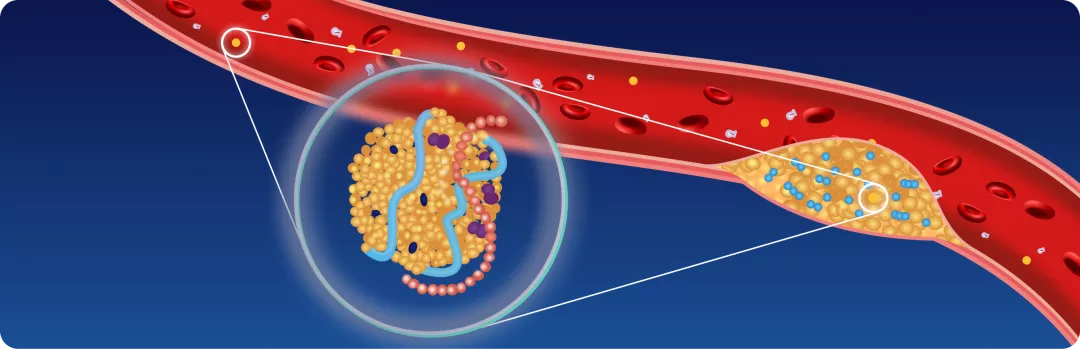 Липопротеин(а)