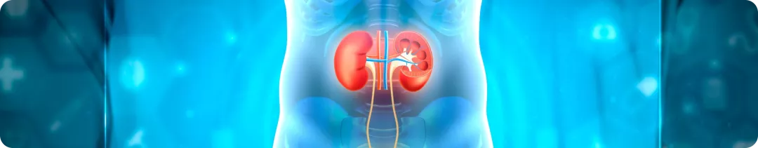 Снижение протеинурии – маркер эффективности терапии патологии почек
