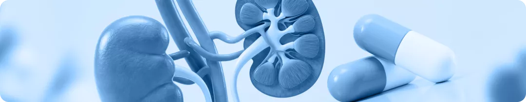 Роль нефролога в продлении жизни пациента с ХБП